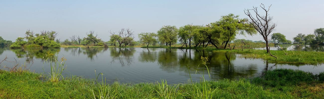 Bharatpur