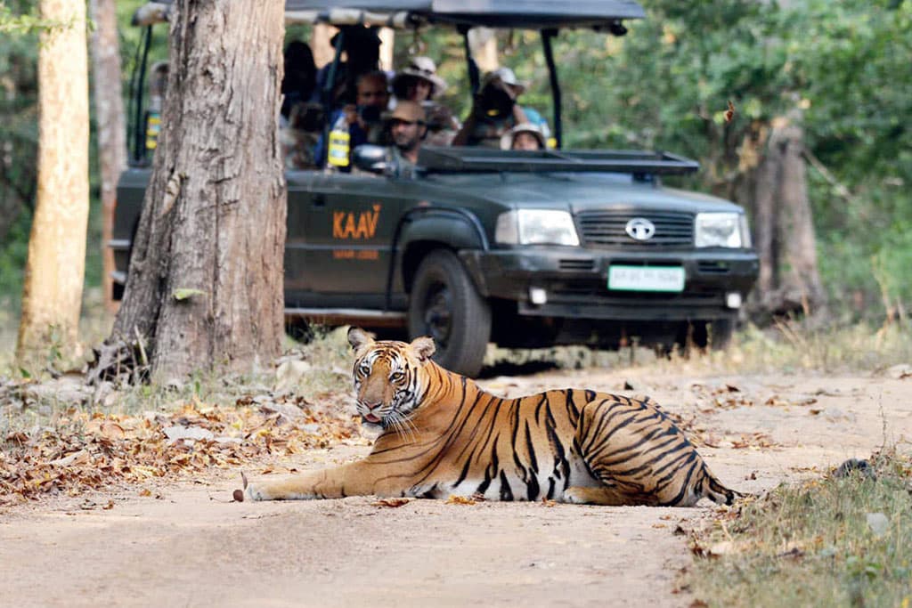 Delhi to Ranthambore One Way Taxi