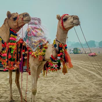 Rajasthan Honeymoon Tour Package